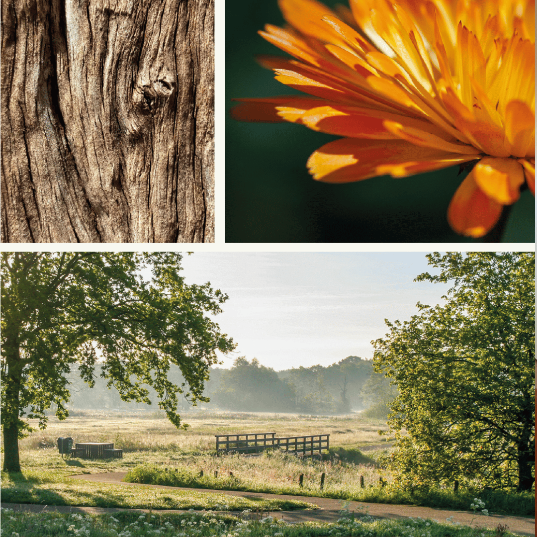 moodboard Henk en Petra